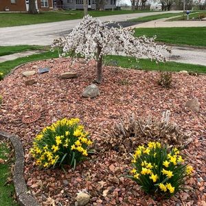 Meet your Posher, Paula